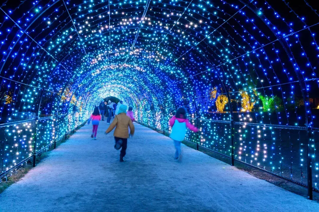 Les enfants courent dans un tunnel de lumières de Noël qui brillent en bleu